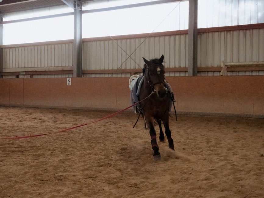 Dospelý jazdec v kluse na lonži